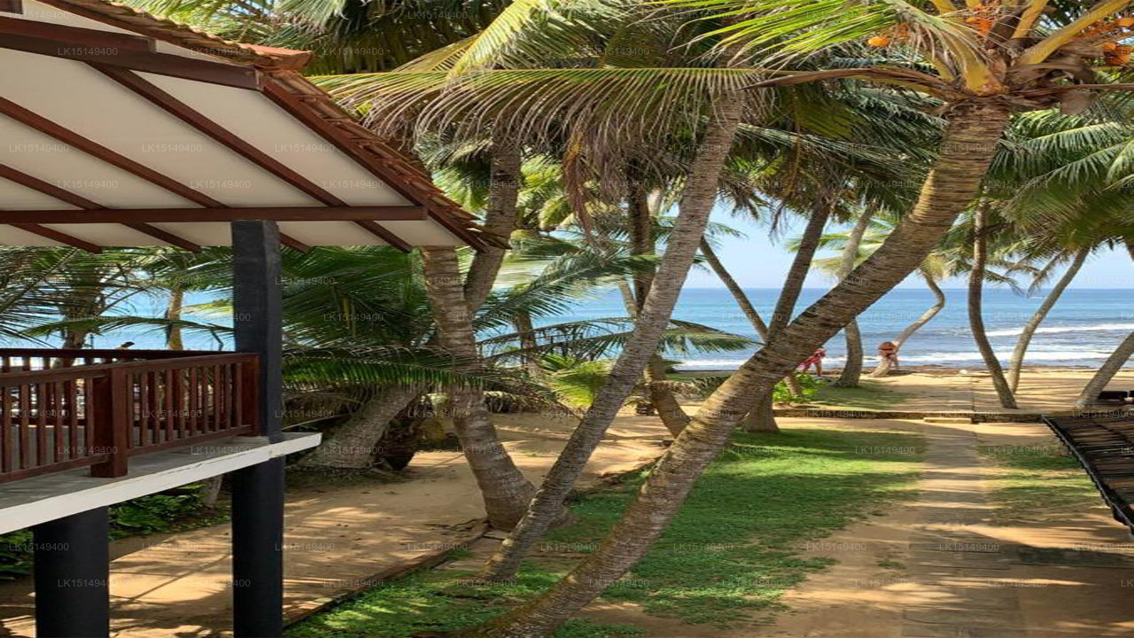 Curry Bowl Guest House and Restaurant, Hikkaduwa