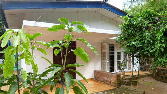 Kandy Tropical Garden House, Kandy