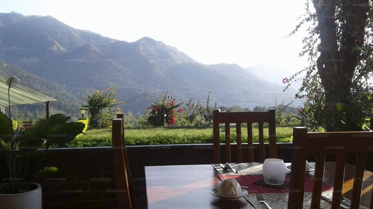 Feelin good Resort, Ella