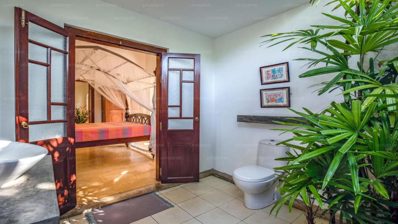 Coconut Grove, Galle