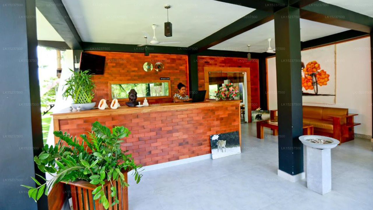 Eco Hotel Black & White, Anuradhapura