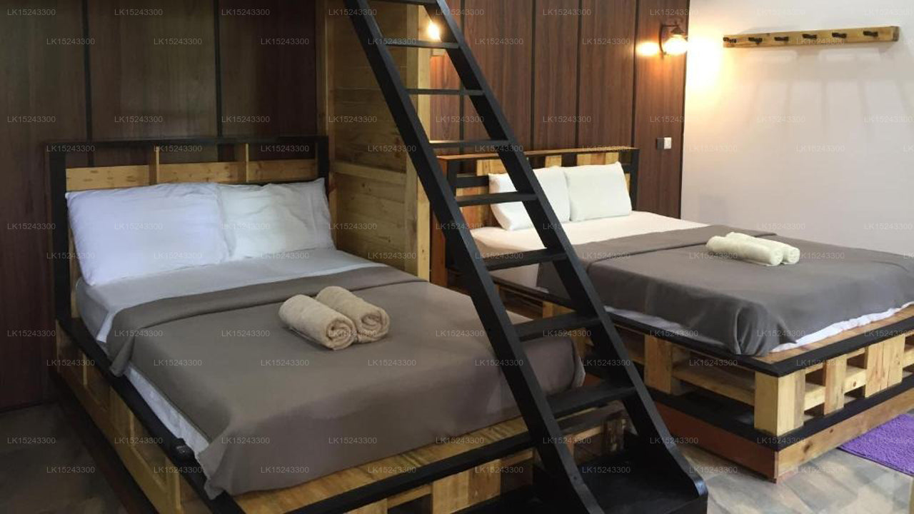 Villa Eden Paradise, Ella