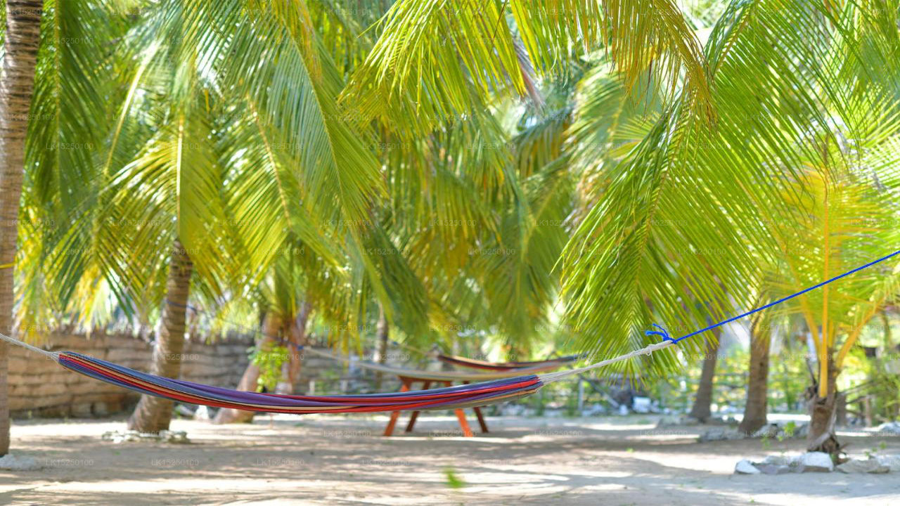 De Silva Palm Resort, Kalpitiya
