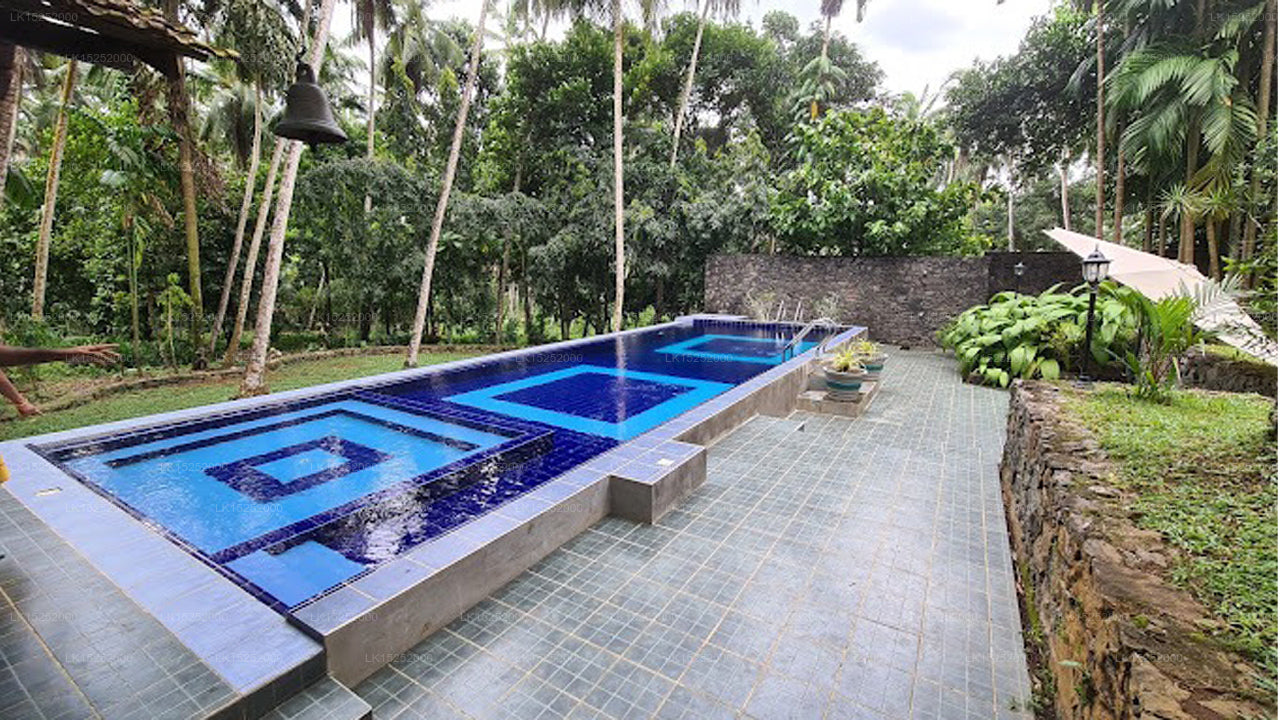 The Pineapple Villa, Gampaha