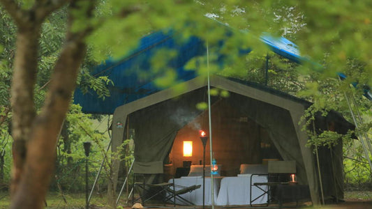 Big Game Camps and Lodges, Wilpattu