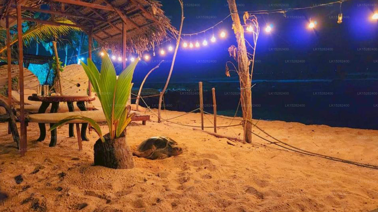 Hotel Blue Corals, Matara