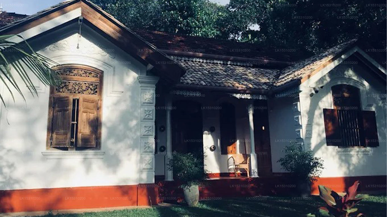 Earthlinks SriLanka, Hikkaduwa