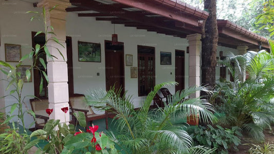 Sigiri Jungle Villa, Sigiriya