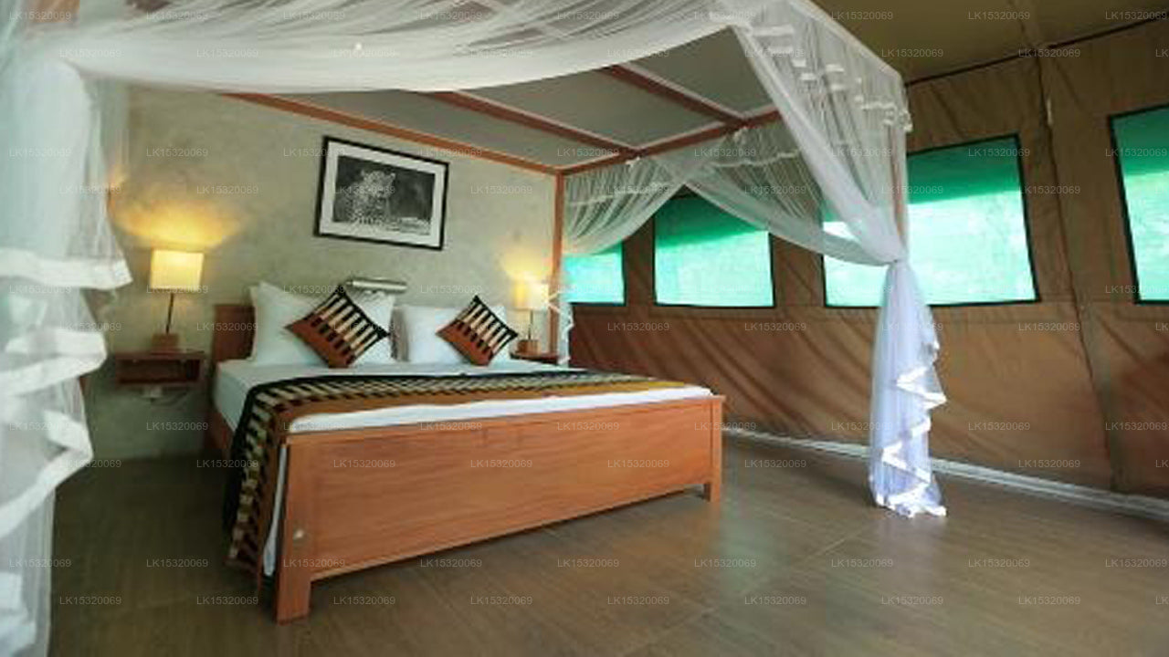 Ceylon Wilpattu Safaris & Lodging