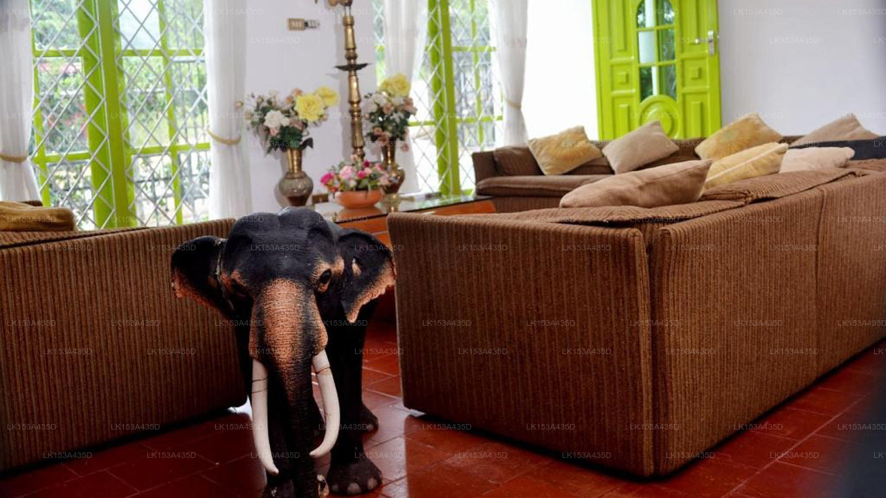 Kandy La Grande, Kandy