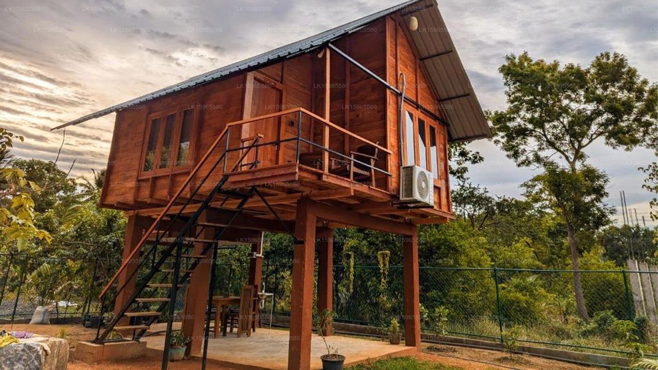 Lion Wood Treehouse, Sigiriya