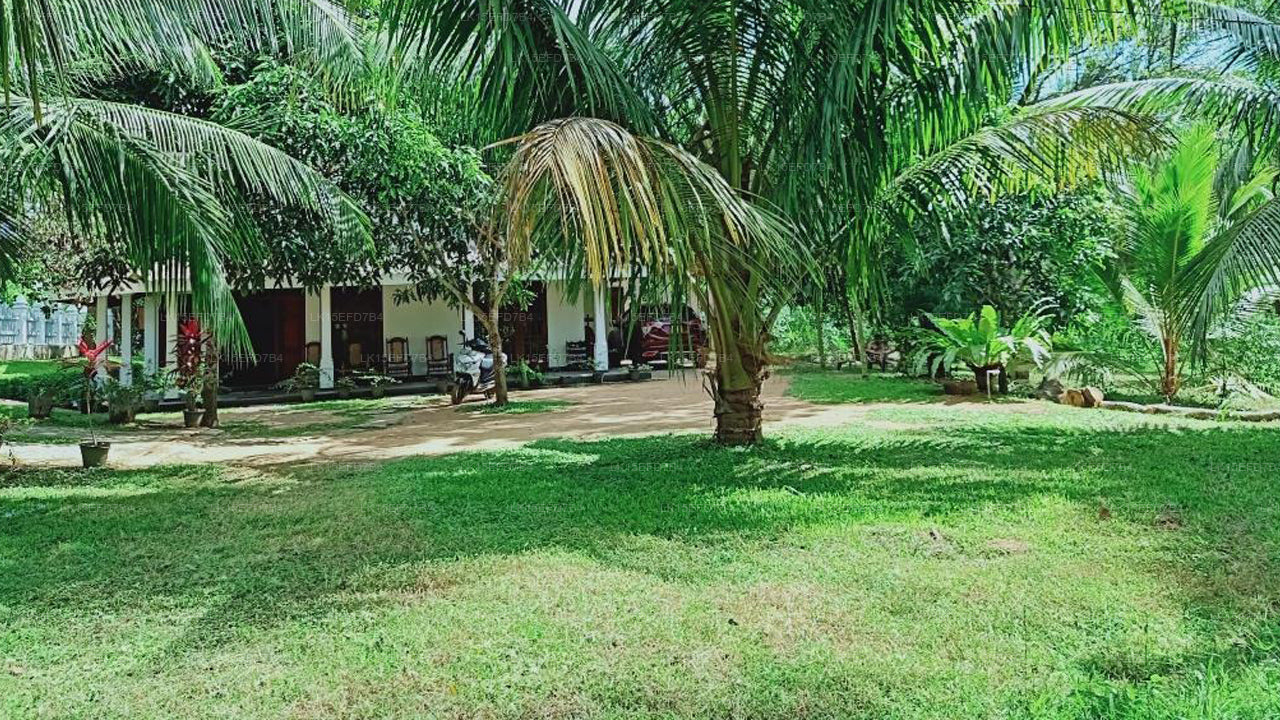 Cashew Garden, Tangalle