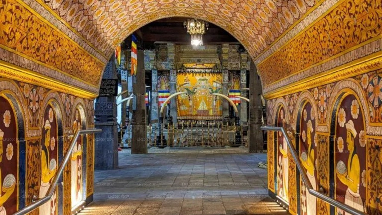Temple of The Sacred Tooth Relic Guided tour with entrance tickets