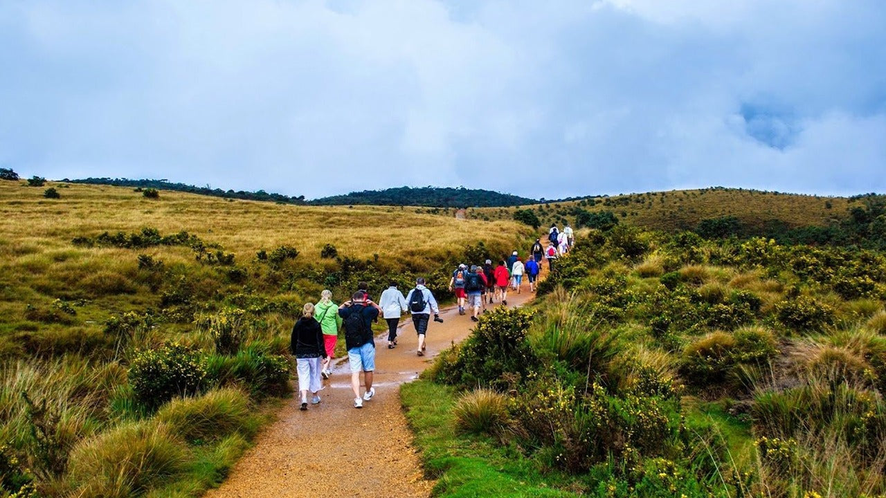 Guidet tur til Horton Plains Nationalpark med entrébilletter