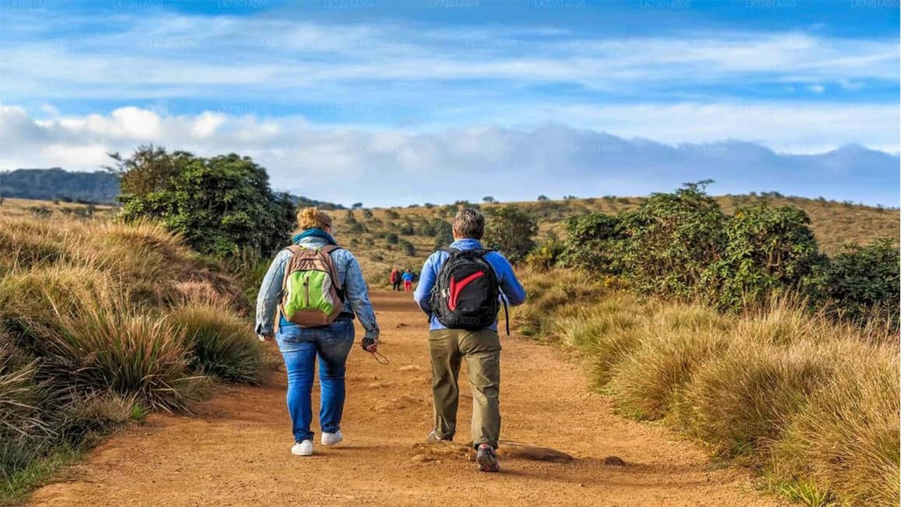 Guidet tur til Horton Plains Nationalpark med entrébilletter