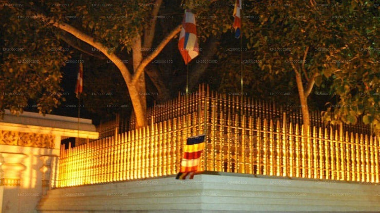 Anuradhapura: Guidet tur til det hellige område med entrébilletter