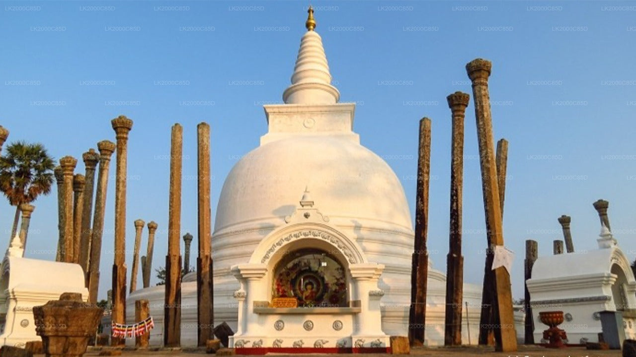 Anuradhapura: Guidet tur til det hellige område med entrébilletter
