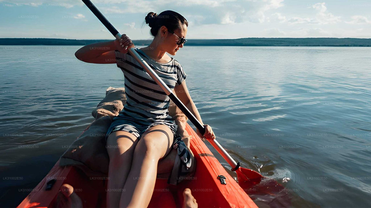 Lagoon Kayaking from Mawella