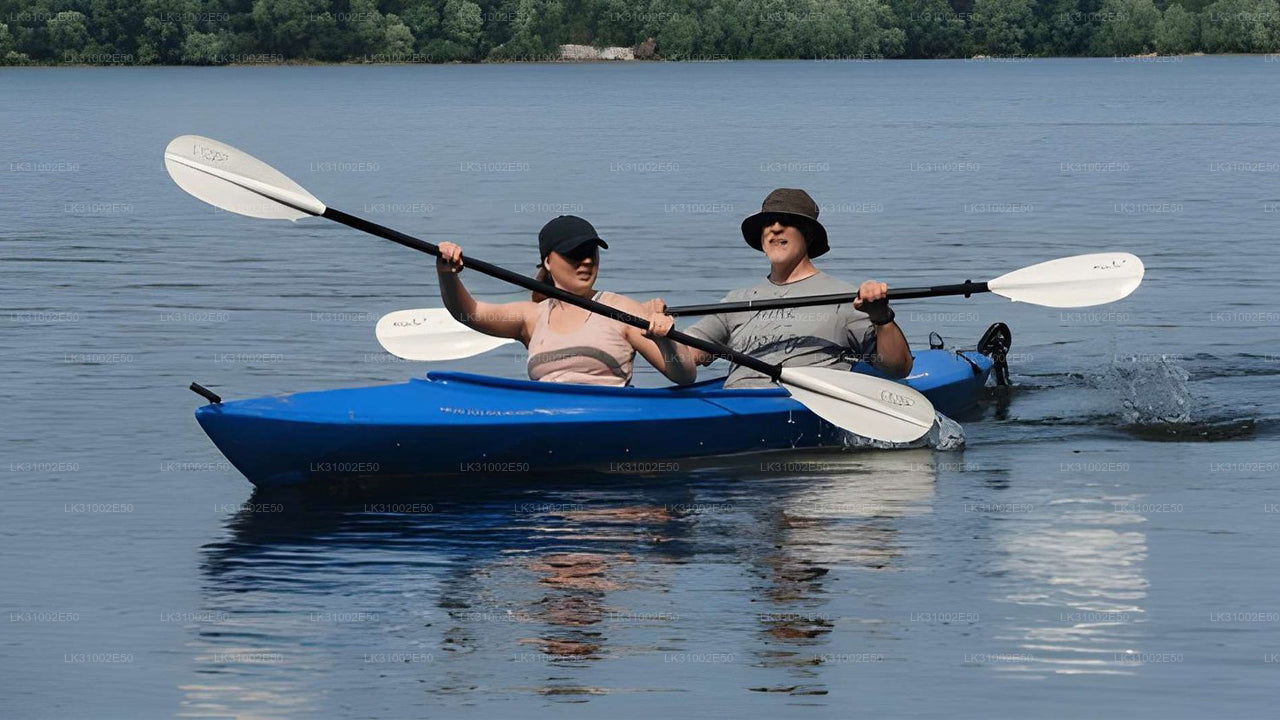 Lagoon Kayaking from Mawella