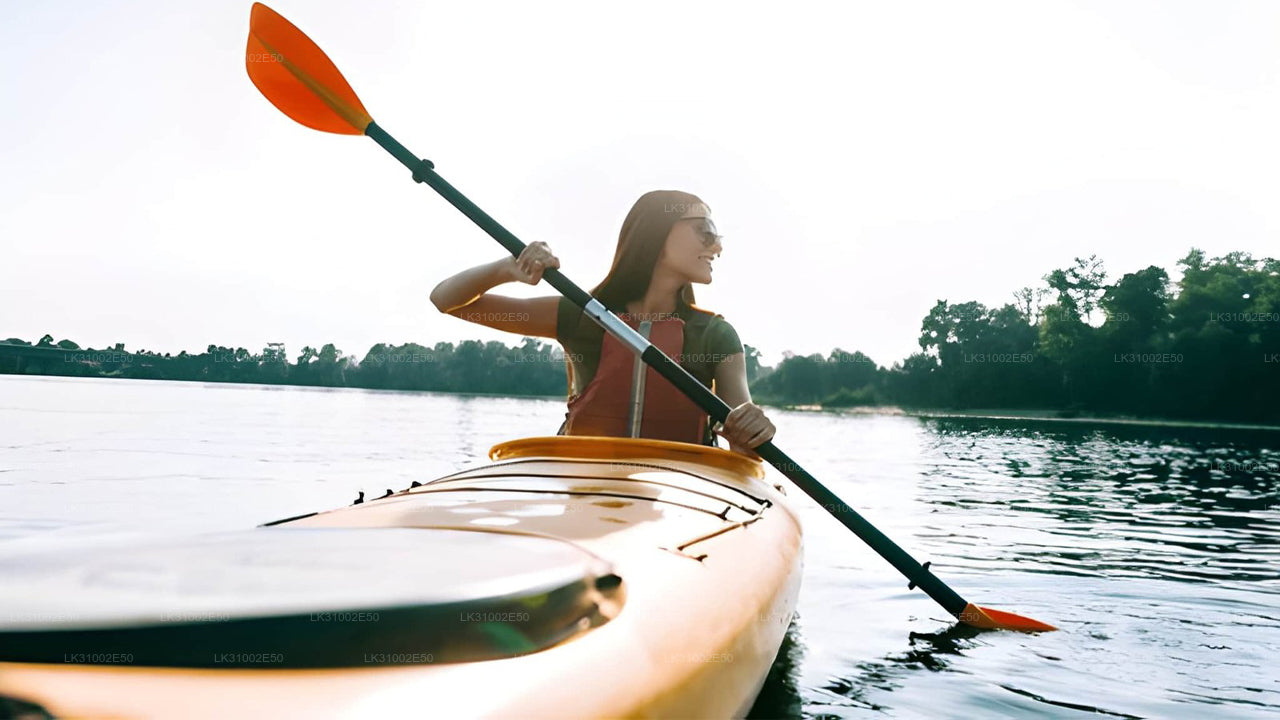 Lagoon Kayaking from Mawella