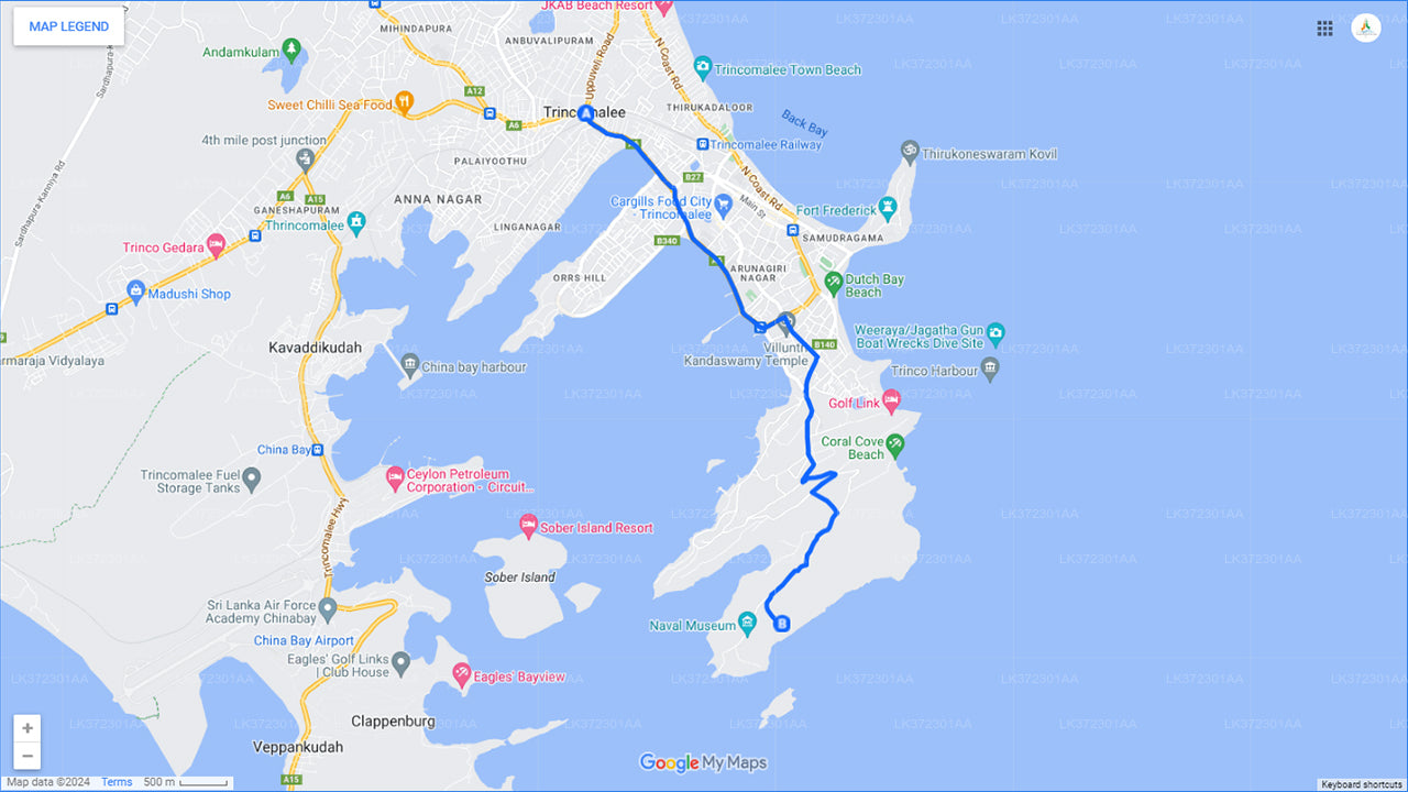 Hvalsafari fra Trincomalee på privat båd