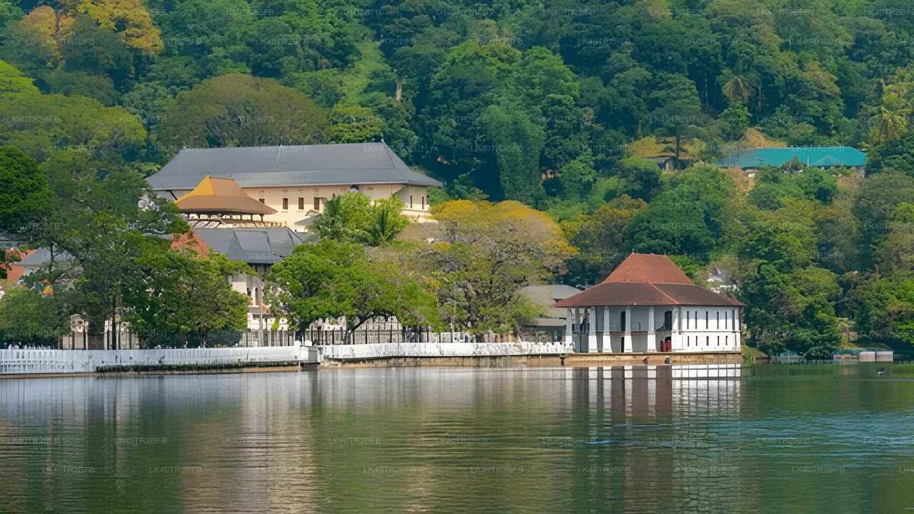 Naturskøn privat transport fra Nuwara Eliya til Kandy med sightseeing