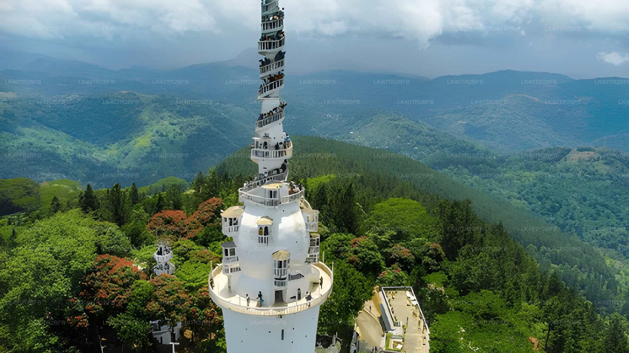 Naturskøn privat transport fra Nuwara Eliya til Kandy med sightseeing