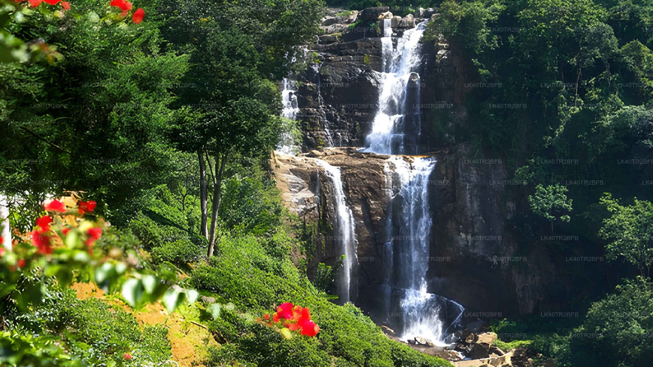 Naturskøn privat transport fra Nuwara Eliya til Kandy med sightseeing