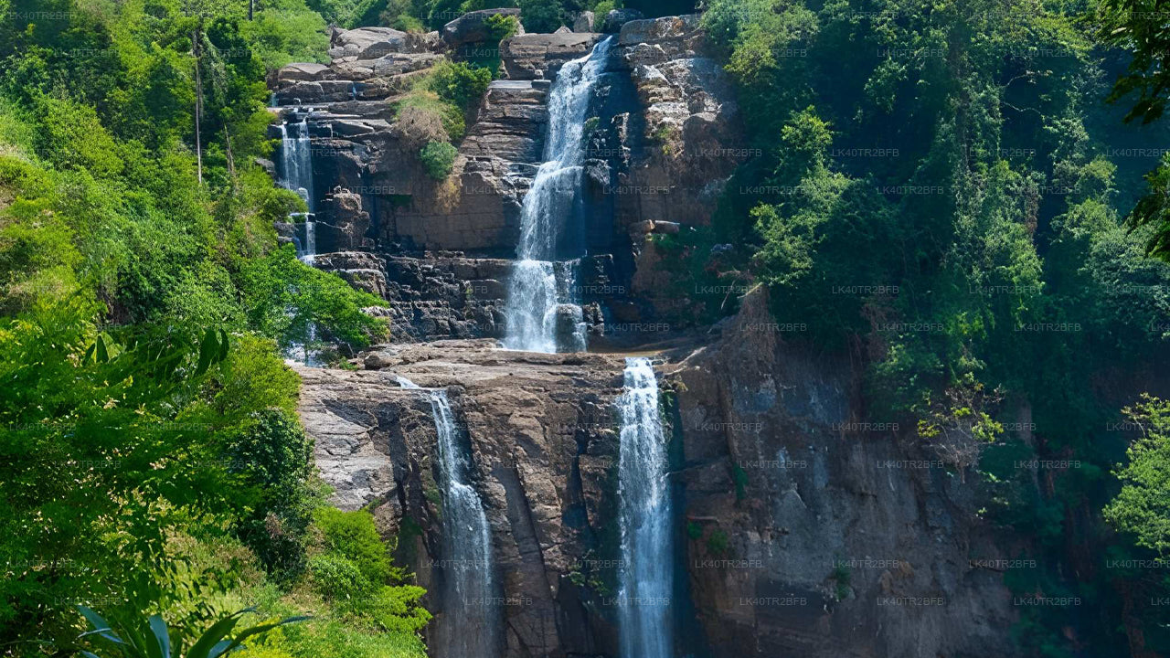 Naturskøn privat transport fra Nuwara Eliya til Kandy med sightseeing