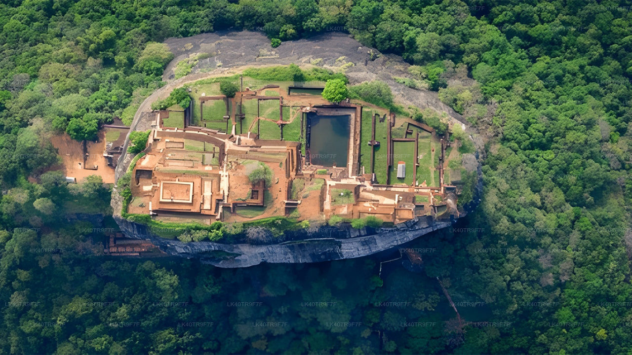Privat transport fra Colombo til Sigiriya med sightseeingstop