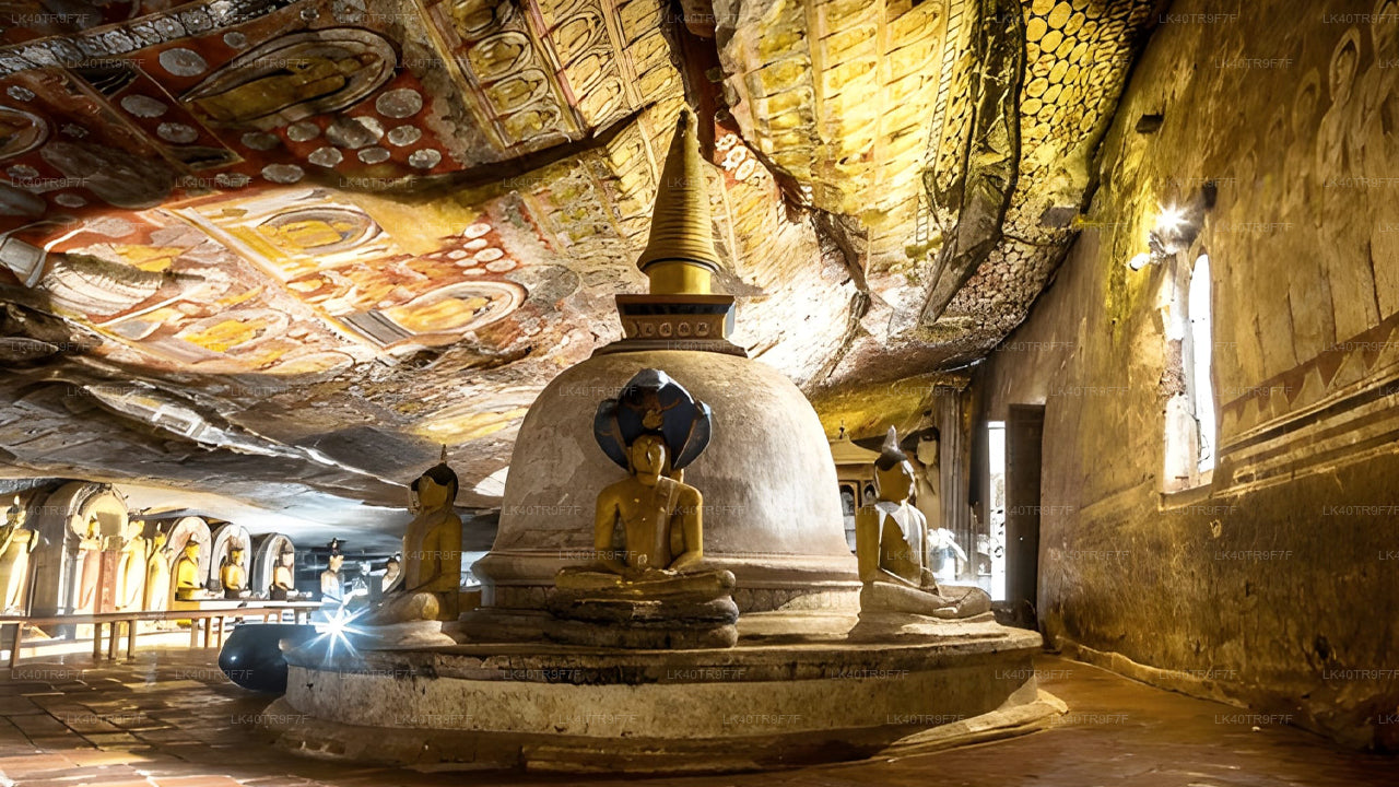 Privat transport fra Colombo til Sigiriya med sightseeingstop