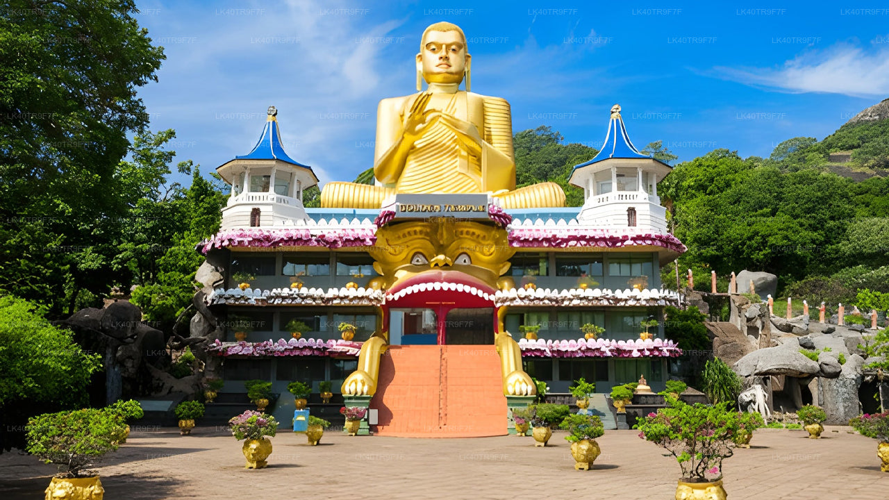 Privat transport fra Colombo til Sigiriya med sightseeingstop