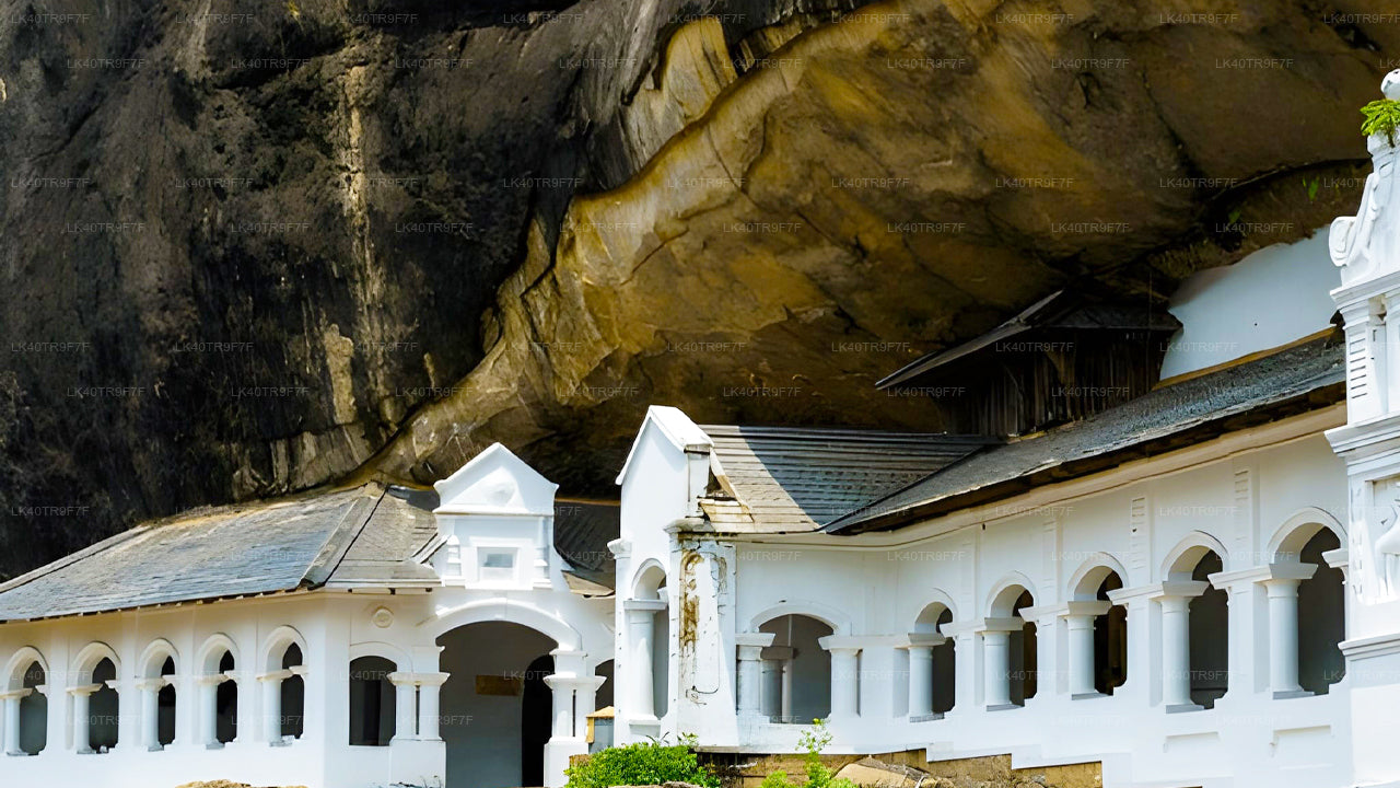 Privat transport fra Colombo til Sigiriya med sightseeingstop