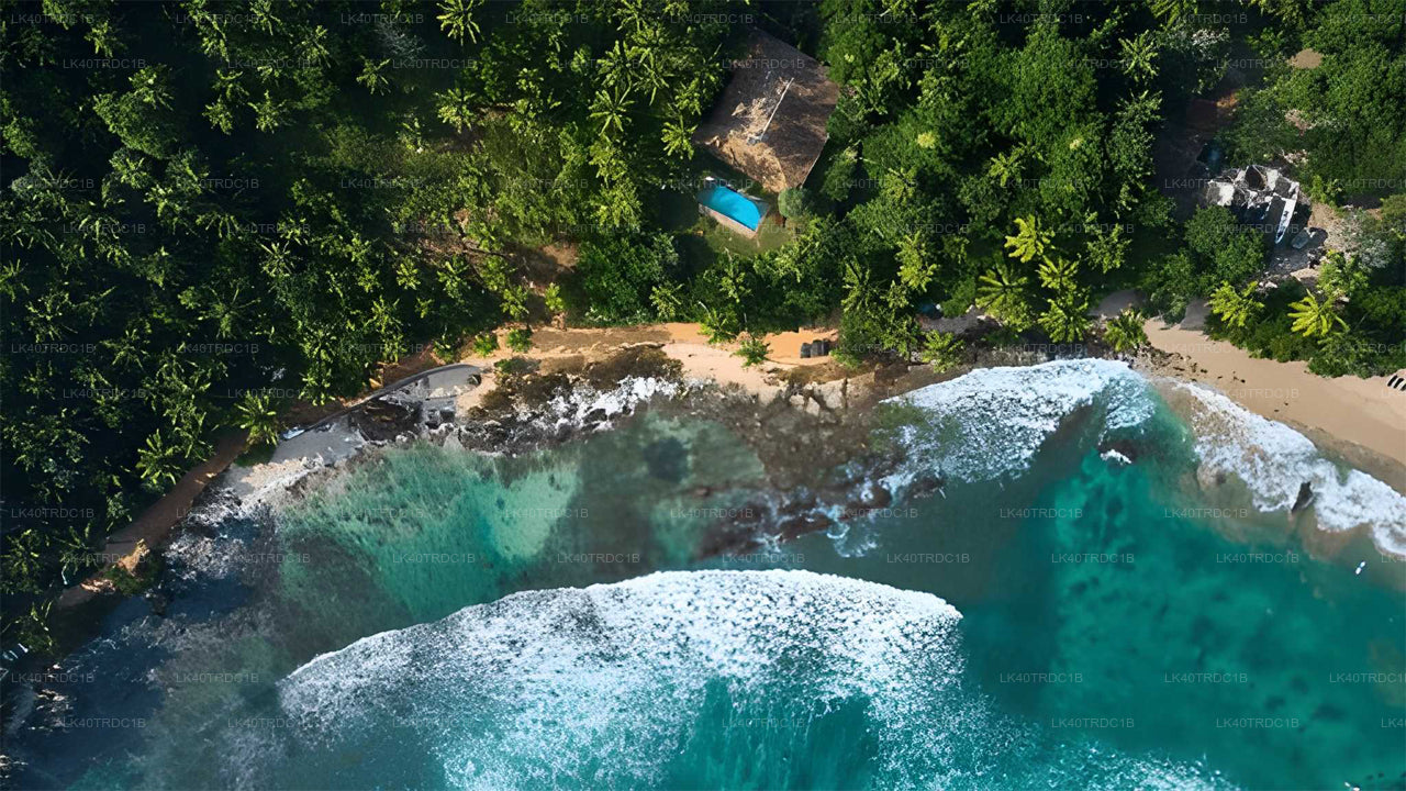 Privat transport fra Negombo til Hiriketiya med sightseeingstop