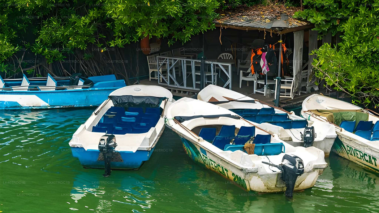 Privat transport fra Negombo til Hiriketiya med sightseeingstop