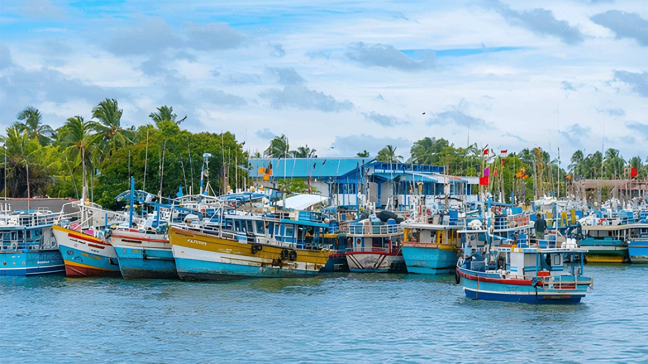Privat transport fra Negombo til Hiriketiya med sightseeingstop
