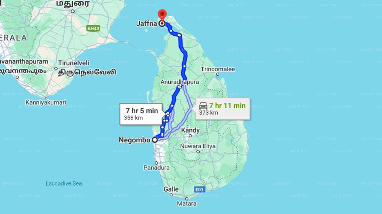 Negombo City til Jaffna City Privat Transfer