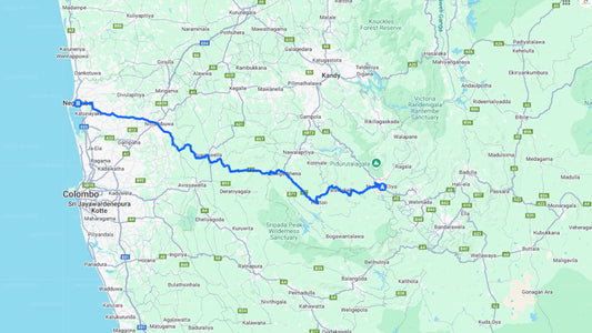 Nuwara Eliya by til Negombo by privat transfer
