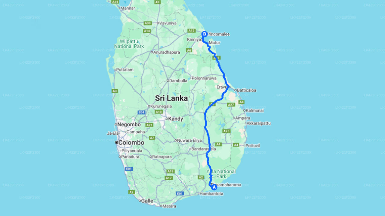Yala by til Trincomalee by privat transfer