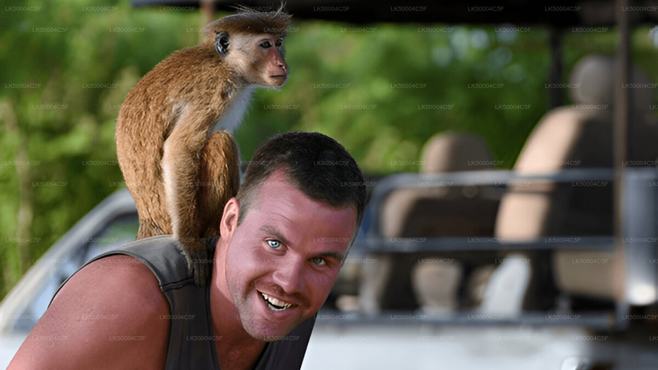 Privat tur fra Ella til Weligama med Udawalawe Safari