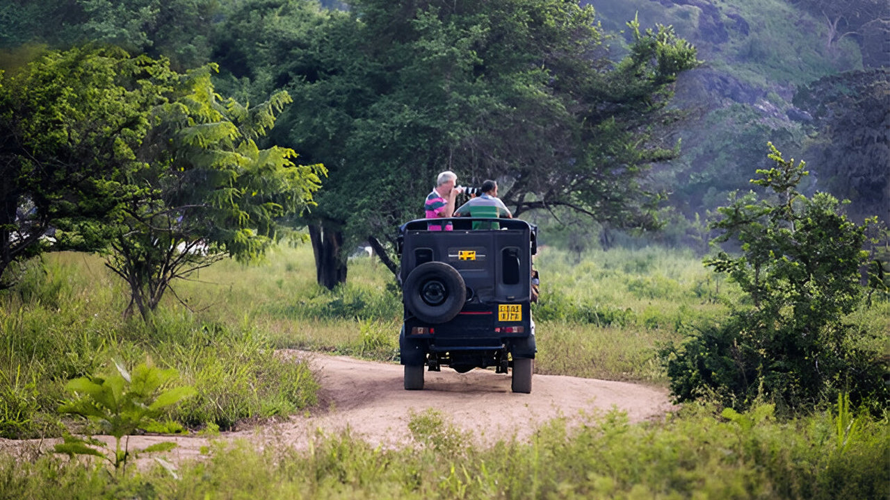 Yala Nationalpark (Blok 5) Etisk safari