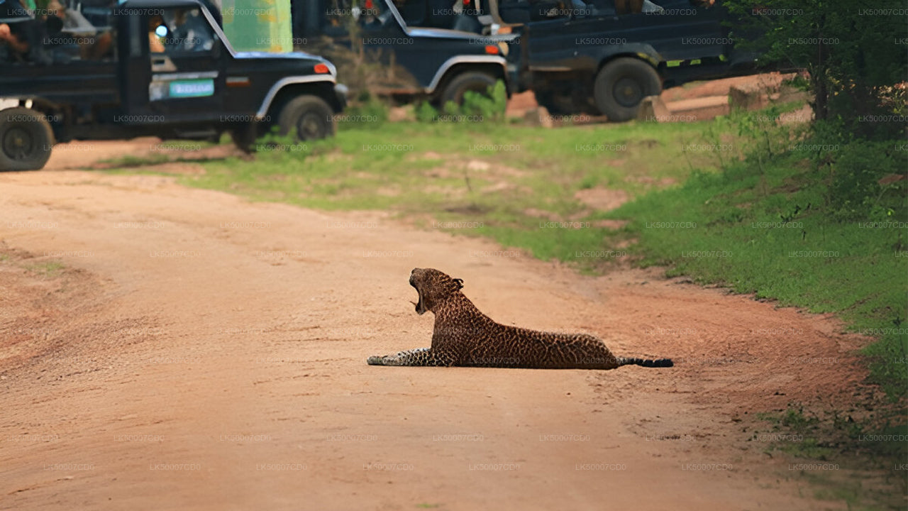 Private Tour from Tangalle to Ella with Yala Safari