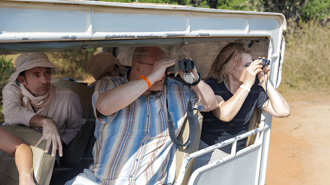 Privat tur fra Weligama til Ella med Yala Safari