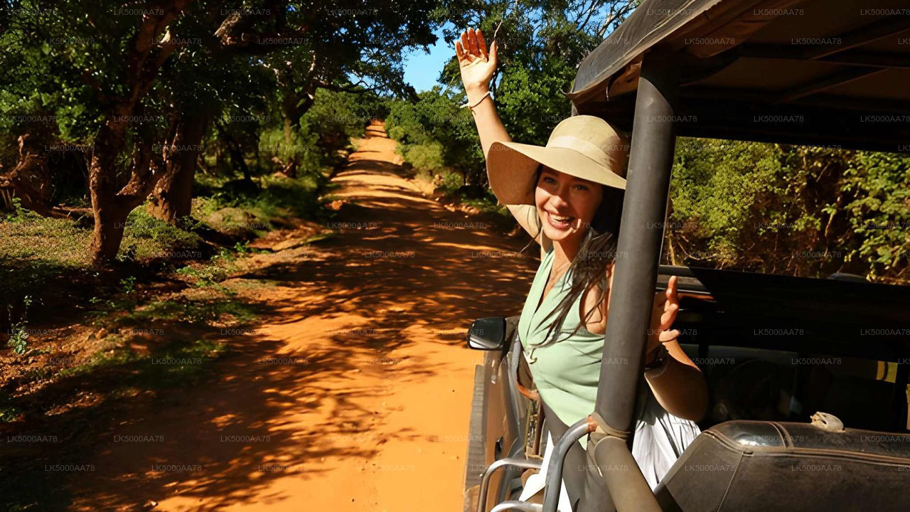 Wilpattu Nationalpark Private Safari