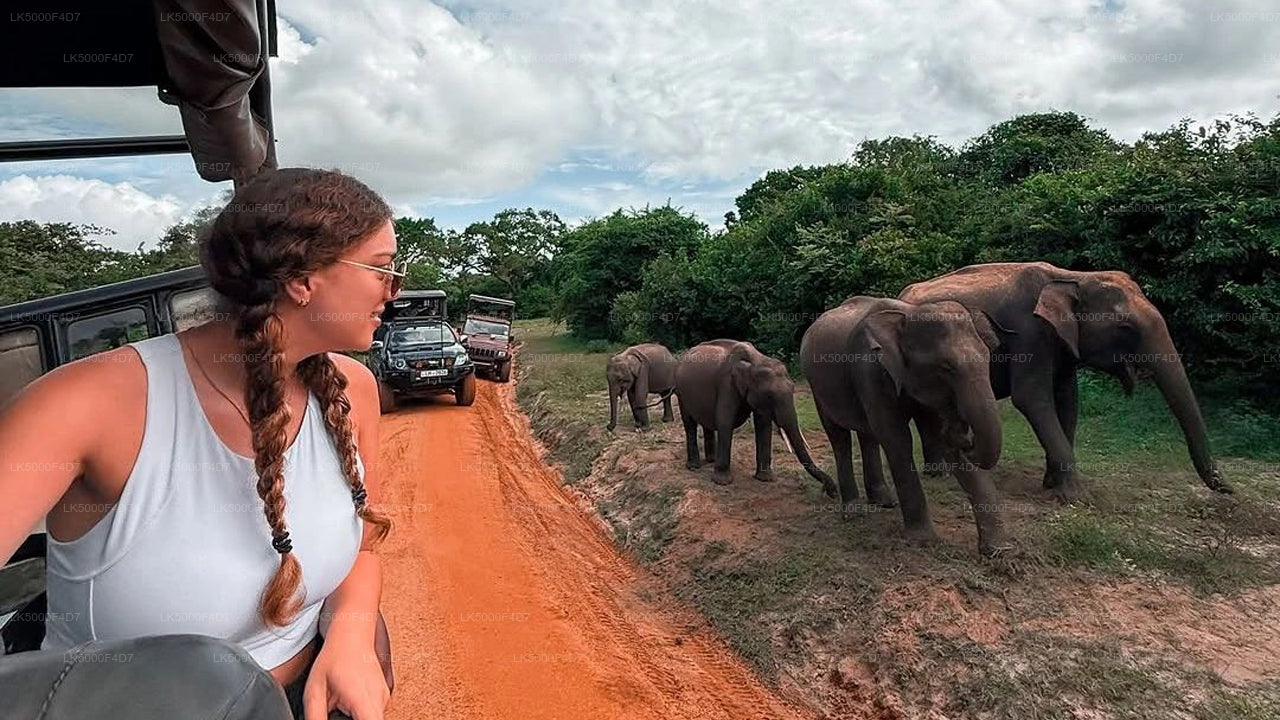 Privat tur fra Ella til Hiriketiya med Yala Safari