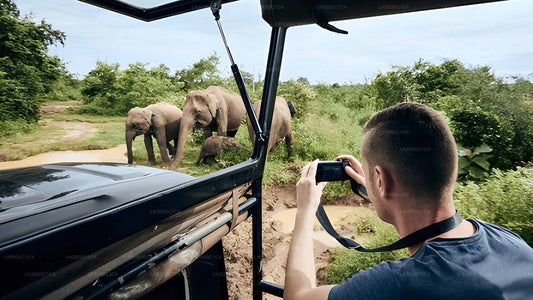 Privat tur fra Ella til Hiriketiya med Udawalawe Safari