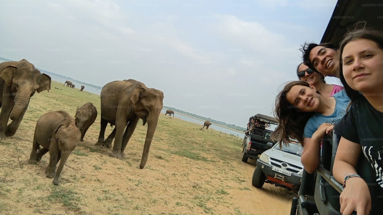 Privat tur fra Ella til Hiriketiya med Udawalawe Safari