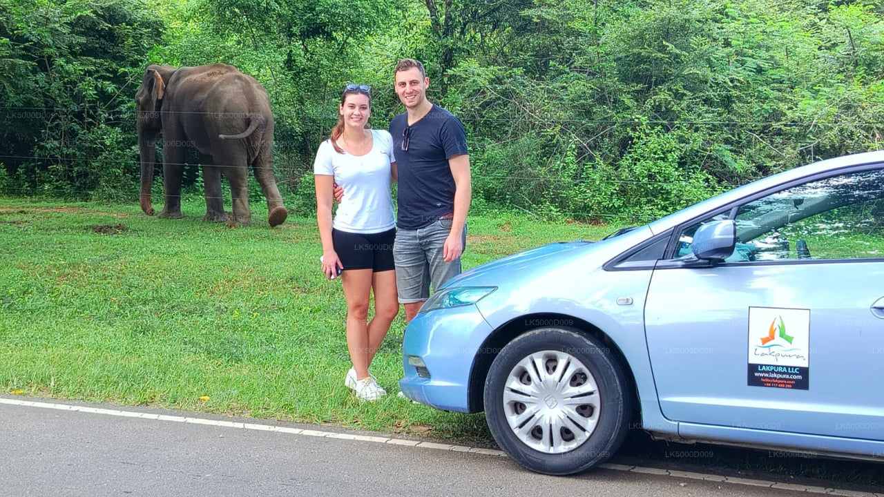 Privat tur fra Galle til Ella med Udawalawe Safari