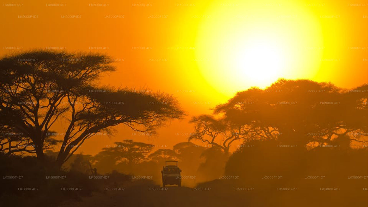 Privat tur fra Ella til Hiriketiya med Yala Safari