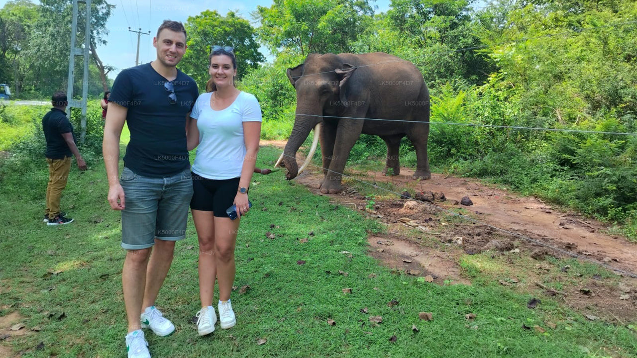 Privat tur fra Ella til Hiriketiya med Yala Safari